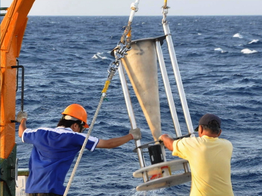 Sediment Trap