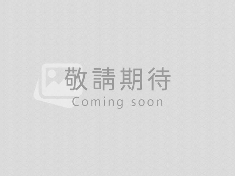 深海拖曳式載具 (Deep-Towed Vehicles, DTVs)