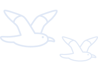 deco