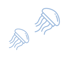 deco